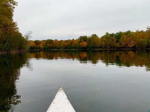 Tiny photo for 1554 Bass Bay Rd, Carlton, MN 55718 (MLS # 6124415)