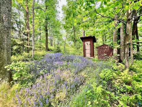 Tiny photo for TBD Pelican Lake Island, Orr, MN 55771 (MLS # 6124497)