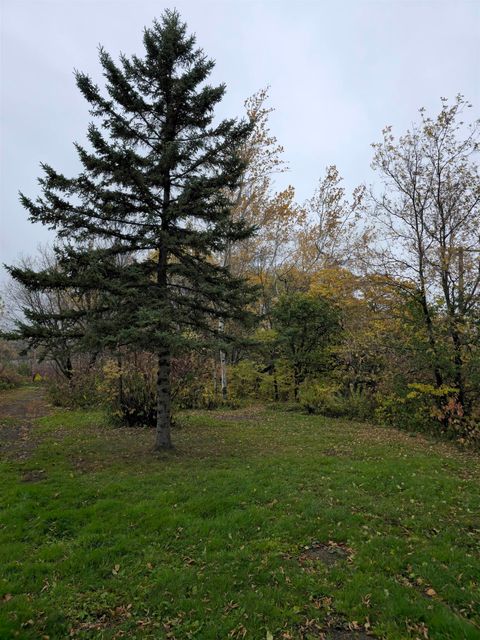 Tiny photo for 3 S 63rd Ave W, Duluth, MN 55807 (MLS # 6122629)