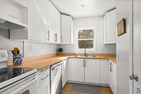 Tiny photo for 116 E Wabasha St, Duluth, MN 55803 (MLS # 6123946)