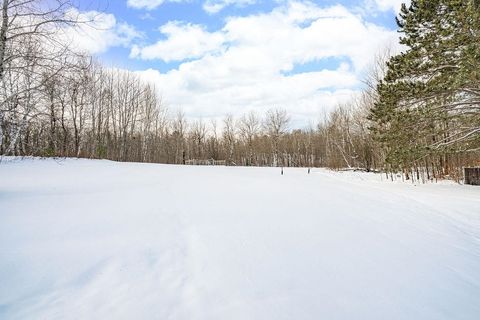Tiny photo for 2893 Hutchinson Rd, Duluth, MN 55811 (MLS # 6123182)