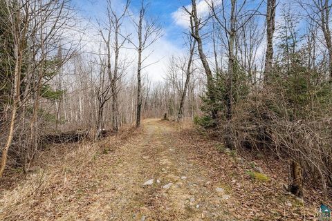 Tiny photo for 4598 McAlpine Spur Rd, Two Harbors, MN 55616 (MLS # 6124823)