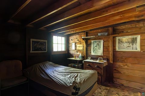 Tiny photo for 2854 Blueberry Island, Ely, MN 55731 (MLS # 6123964)