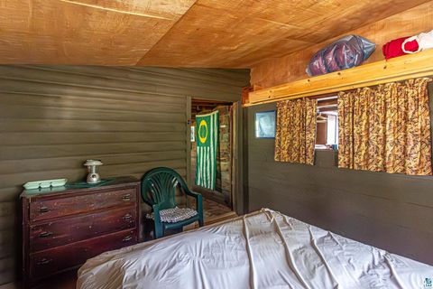 Tiny photo for 2854 Blueberry Island, Ely, MN 55731 (MLS # 6123964)
