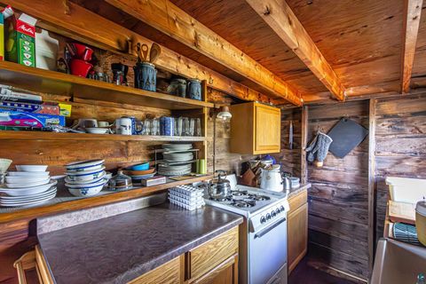 Tiny photo for 2854 Blueberry Island, Ely, MN 55731 (MLS # 6123964)