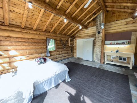 Tiny photo for 9519 CCC Tr, Isabella, MN 55607 (MLS # 6125490)