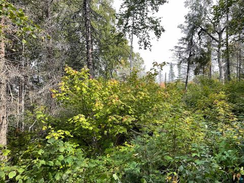Tiny photo for 9519 CCC Tr, Isabella, MN 55607 (MLS # 6125490)