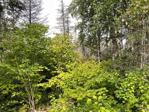 Tiny photo for 9519 CCC Tr, Isabella, MN 55607 (MLS # 6125490)