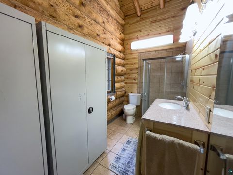 Tiny photo for 9519 CCC Tr, Isabella, MN 55607 (MLS # 6125490)
