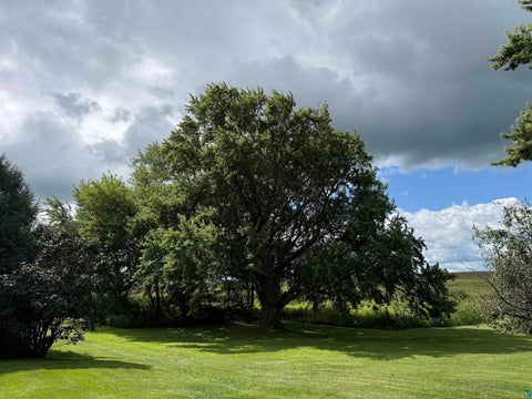 Tiny photo for 43264 160th St, Mabel, MN 55954 (MLS # 6127964)