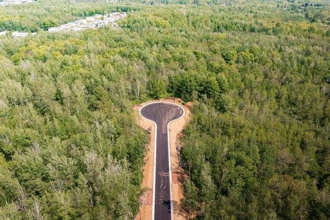 Tiny photo for xxxx Yellow Birch Trail, Duluth, MN 55810 (MLS # 6123156)