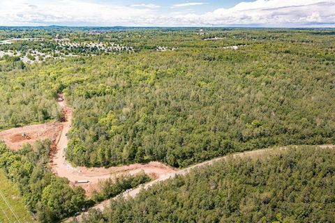 Tiny photo for xxxx Yellow Birch Trail, Duluth, MN 55810 (MLS # 6123156)