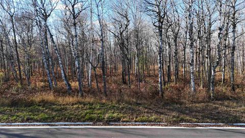 Photo of xxxx Yellow Birch Trail, Duluth, MN 55810 (MLS # 6123156)