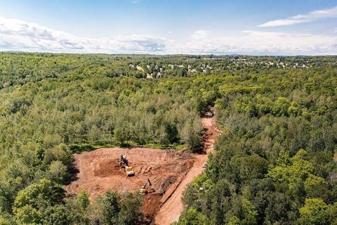 Tiny photo for xxxx Yellow Birch Trail, Duluth, MN 55810 (MLS # 6123156)