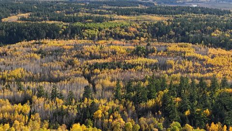 Tiny photo for 7178 Gold Mine Rd, Orr, MN 55771 (MLS # 6122304)