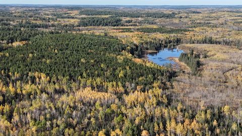 Tiny photo for 7178 Gold Mine Rd, Orr, MN 55771 (MLS # 6122304)