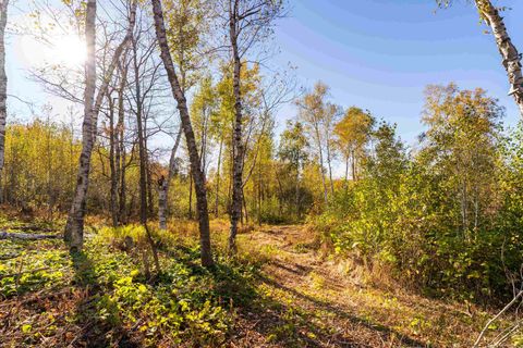 Tiny photo for 47 3rd Ave S, Duluth, MN 55803 (MLS # 6122639)