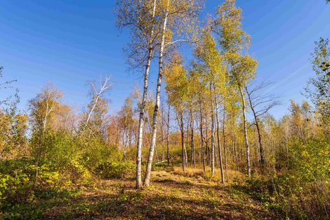 Tiny photo for 47 3rd Ave S, Duluth, MN 55803 (MLS # 6122639)