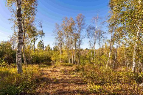 Tiny photo for 47 3rd Ave S, Duluth, MN 55803 (MLS # 6122639)