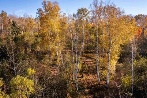 Tiny photo for 47 3rd Ave S, Duluth, MN 55803 (MLS # 6122639)