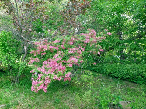 Tiny photo for 5640 County Rd 35, Lutsen, MN 55612 (MLS # 6127462)
