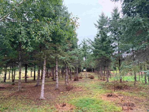 Tiny photo for 84227 Denham Rd, Willow River, MN 55795 (MLS # 6127962)