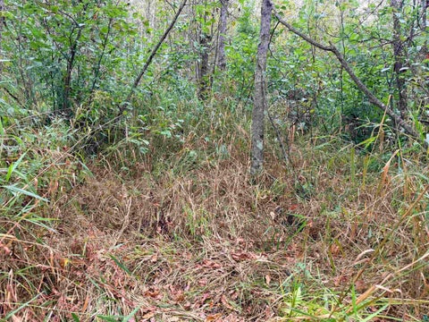 Tiny photo for 84227 Denham Rd, Willow River, MN 55795 (MLS # 6127962)