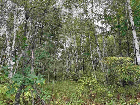 Tiny photo for 84227 Denham Rd, Willow River, MN 55795 (MLS # 6127962)