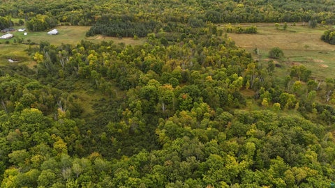 Tiny photo for 84227 Denham Rd, Willow River, MN 55795 (MLS # 6127962)