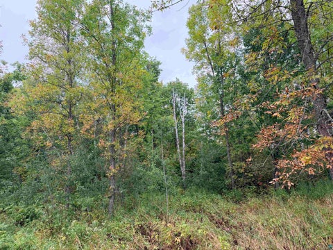 Tiny photo for 84227 Denham Rd, Willow River, MN 55795 (MLS # 6127962)