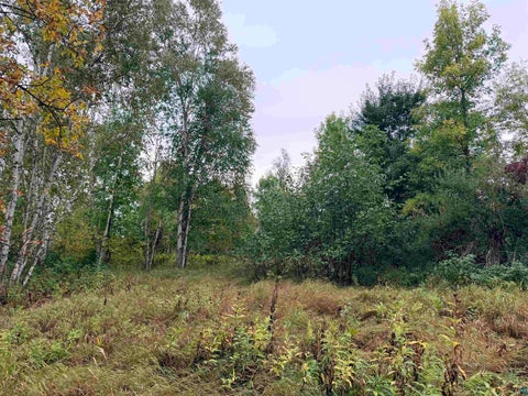 Tiny photo for 84227 Denham Rd, Willow River, MN 55795 (MLS # 6127962)