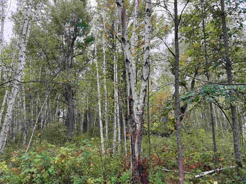 Tiny photo for 84227 Denham Rd, Willow River, MN 55795 (MLS # 6127962)