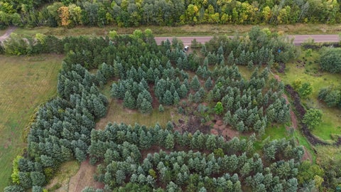 Tiny photo for 84227 Denham Rd, Willow River, MN 55795 (MLS # 6127962)