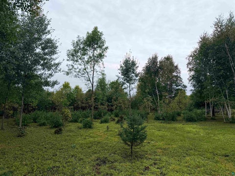 Tiny photo for 84227 Denham Rd, Willow River, MN 55795 (MLS # 6127962)