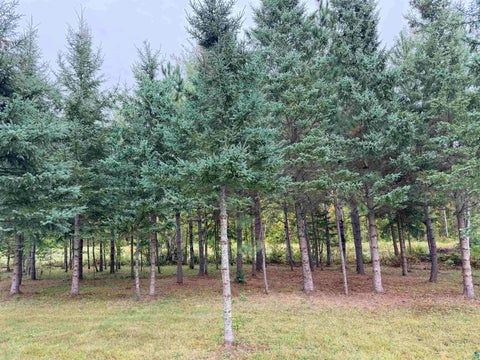 Tiny photo for 84227 Denham Rd, Willow River, MN 55795 (MLS # 6127962)