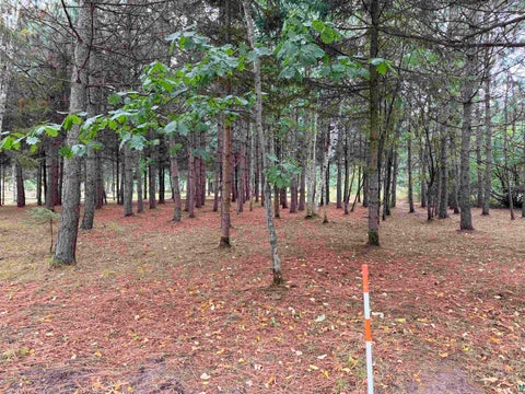 Tiny photo for 84227 Denham Rd, Willow River, MN 55795 (MLS # 6127962)