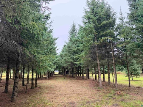 Tiny photo for 84227 Denham Rd, Willow River, MN 55795 (MLS # 6127962)