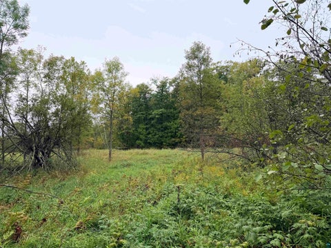 Tiny photo for 84227 Denham Rd, Willow River, MN 55795 (MLS # 6127962)