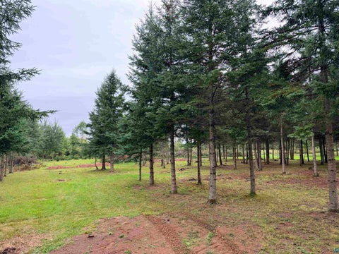 Tiny photo for 84227 Denham Rd, Willow River, MN 55795 (MLS # 6127962)