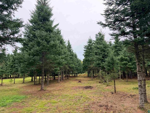Tiny photo for 84227 Denham Rd, Willow River, MN 55795 (MLS # 6127962)