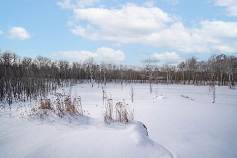 Tiny photo for 42 Stebner Rd, Hermantown, MN 55811 (MLS # 6123124)