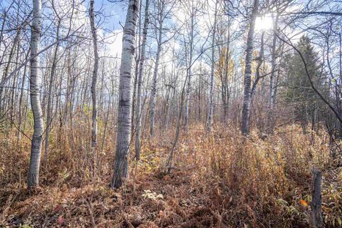 Tiny photo for 42 Stebner Rd, Hermantown, MN 55811 (MLS # 6123124)