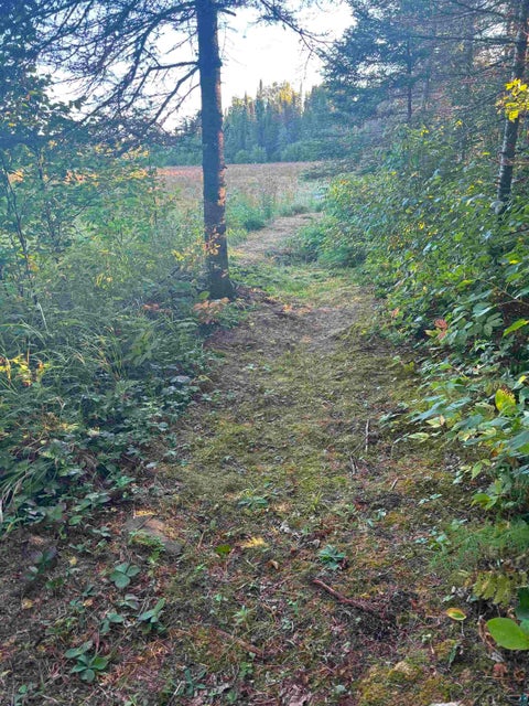 Tiny photo for 3382 God's Wilderness Rd, Finland, MN 55603 (MLS # 6127844)