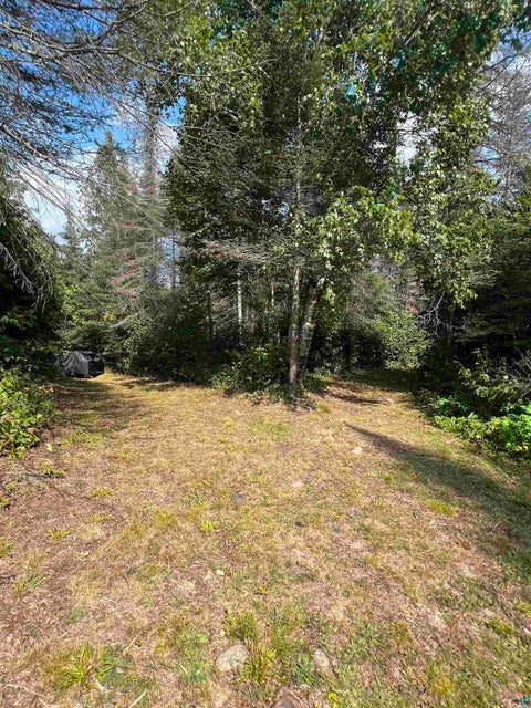 Tiny photo for 3382 God's Wilderness Rd, Finland, MN 55603 (MLS # 6127844)