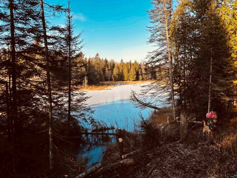 Tiny photo for 3382 God's Wilderness Rd, Finland, MN 55603 (MLS # 6127844)