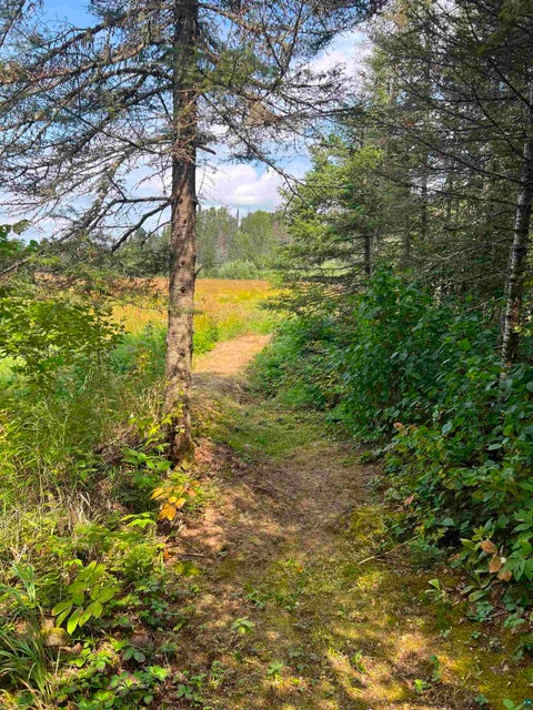 Tiny photo for 3382 God's Wilderness Rd, Finland, MN 55603 (MLS # 6127844)