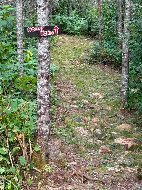 Tiny photo for 3382 God's Wilderness Rd, Finland, MN 55603 (MLS # 6127844)