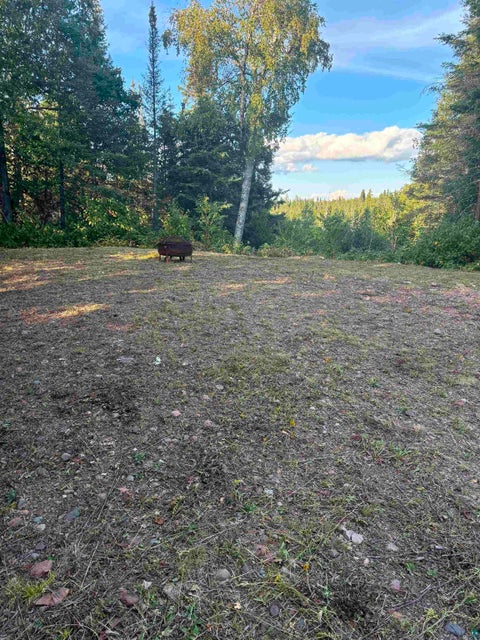 Tiny photo for 3382 God's Wilderness Rd, Finland, MN 55603 (MLS # 6127844)