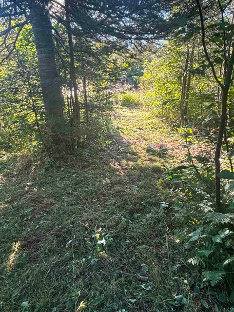 Tiny photo for 3382 God's Wilderness Rd, Finland, MN 55603 (MLS # 6127844)