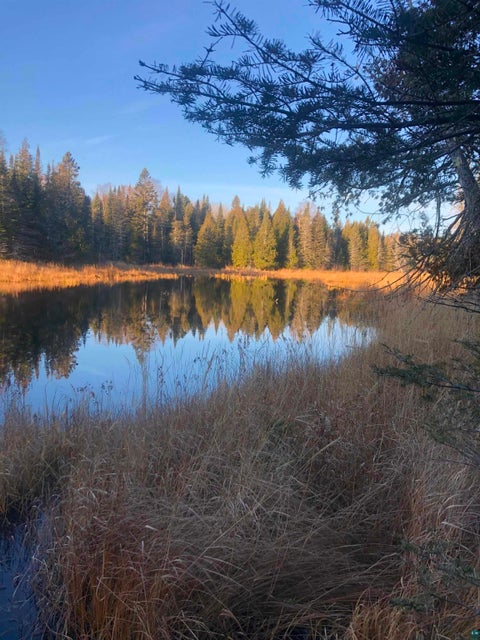 Tiny photo for 3382 God's Wilderness Rd, Finland, MN 55603 (MLS # 6127844)